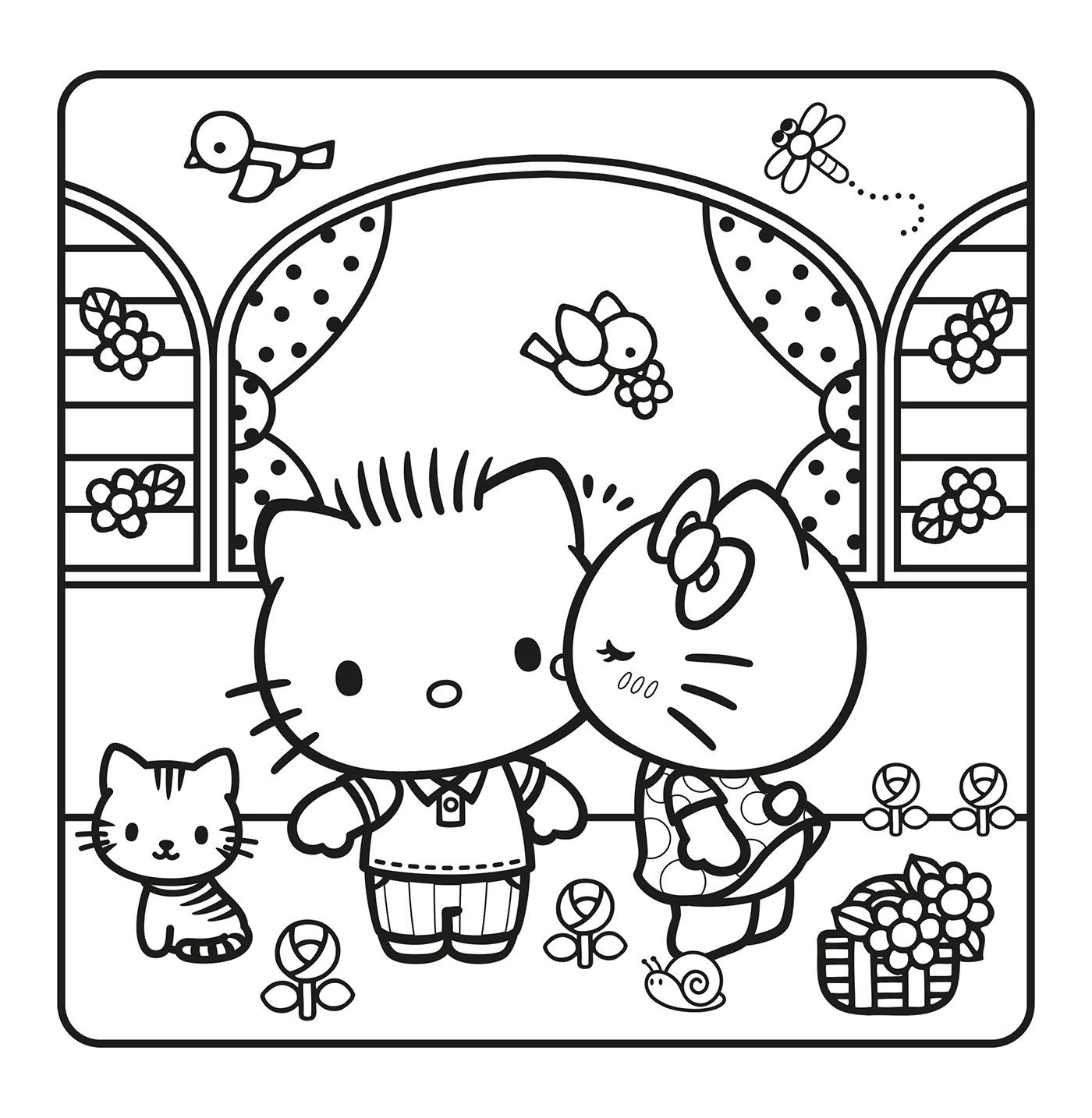 Image du produit 6