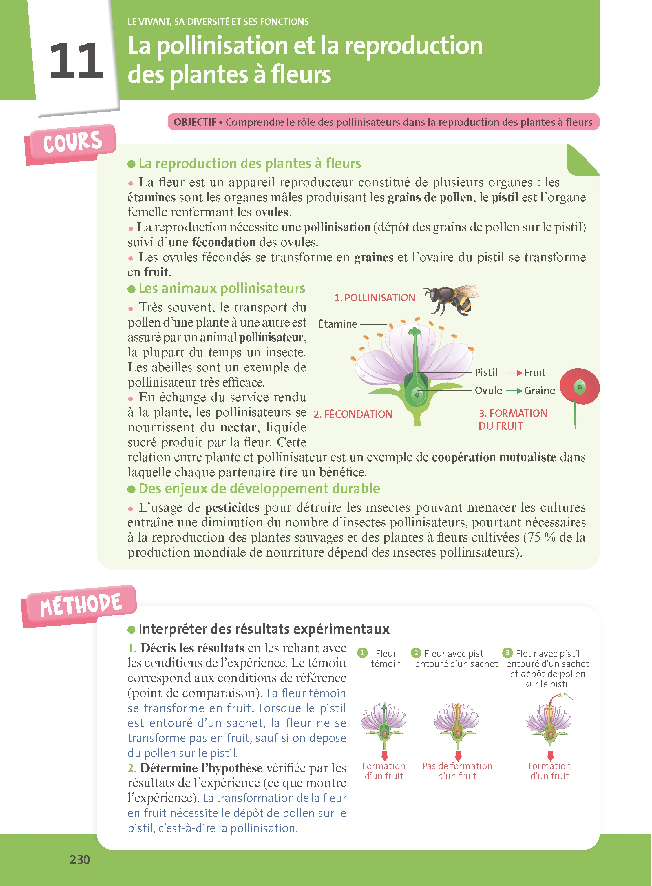Image du produit 28
