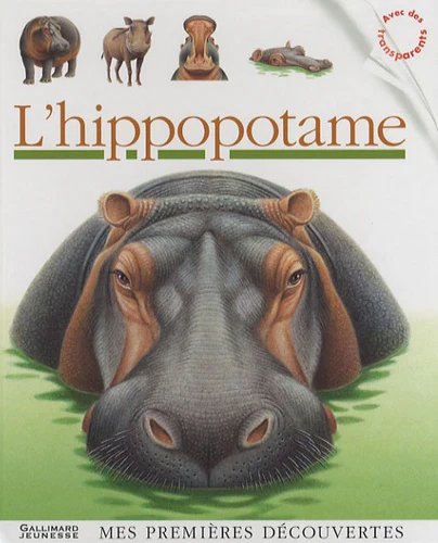 Image du produit 4