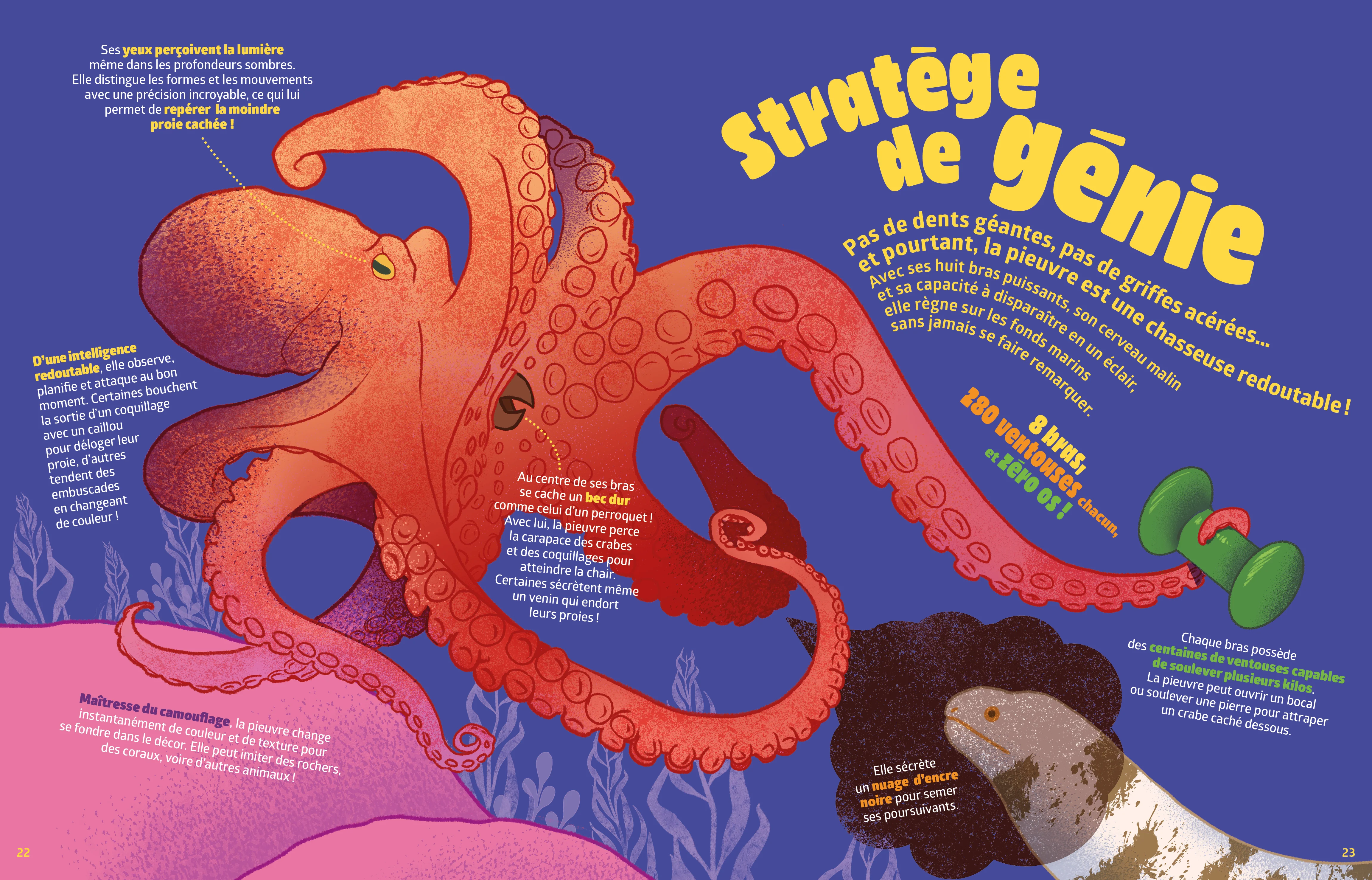 Image du produit 9