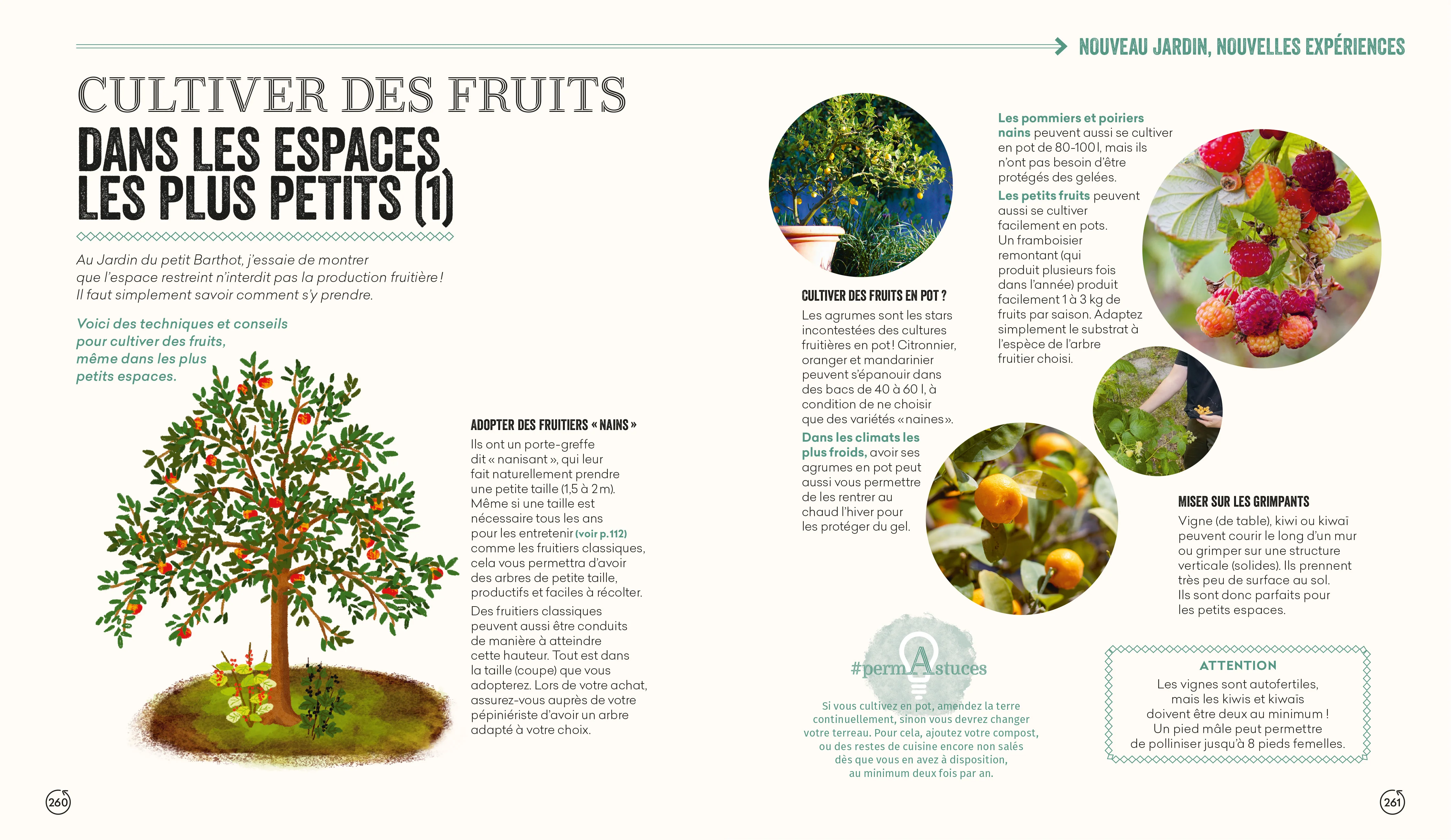 Image du produit 5