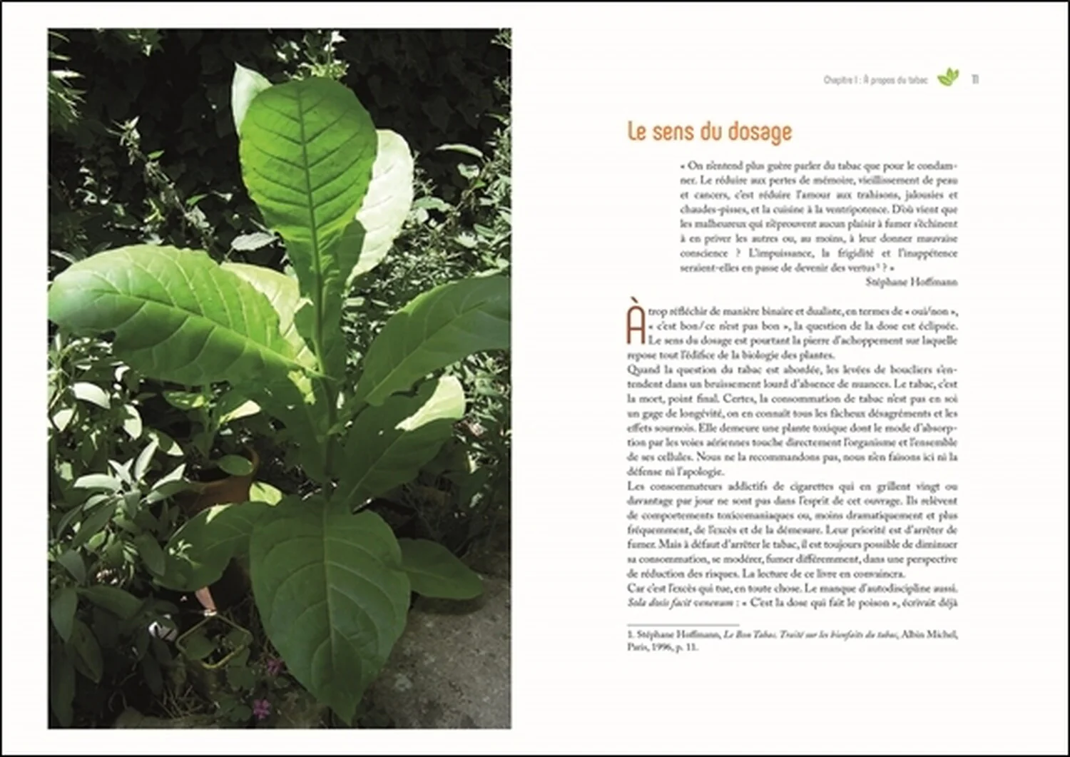 Image du produit 28