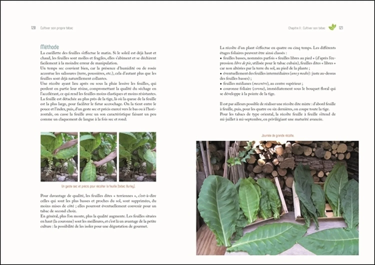 Image du produit 9