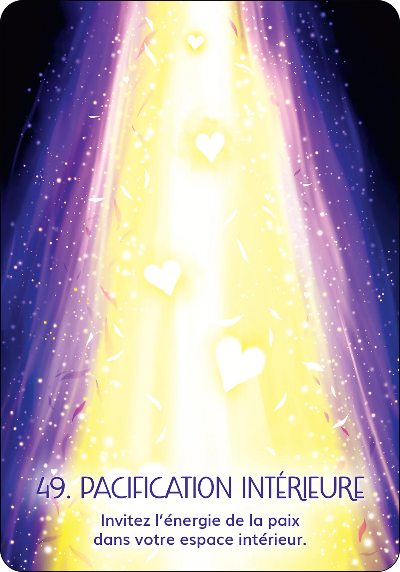 Image du produit 42