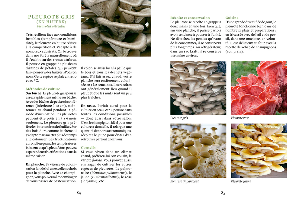 Image du produit 5