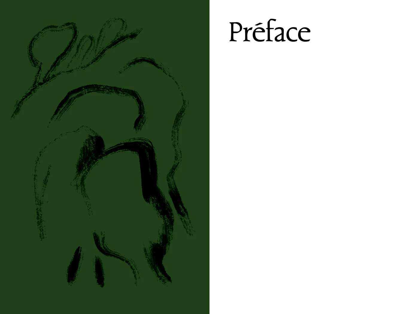 Image du produit 17