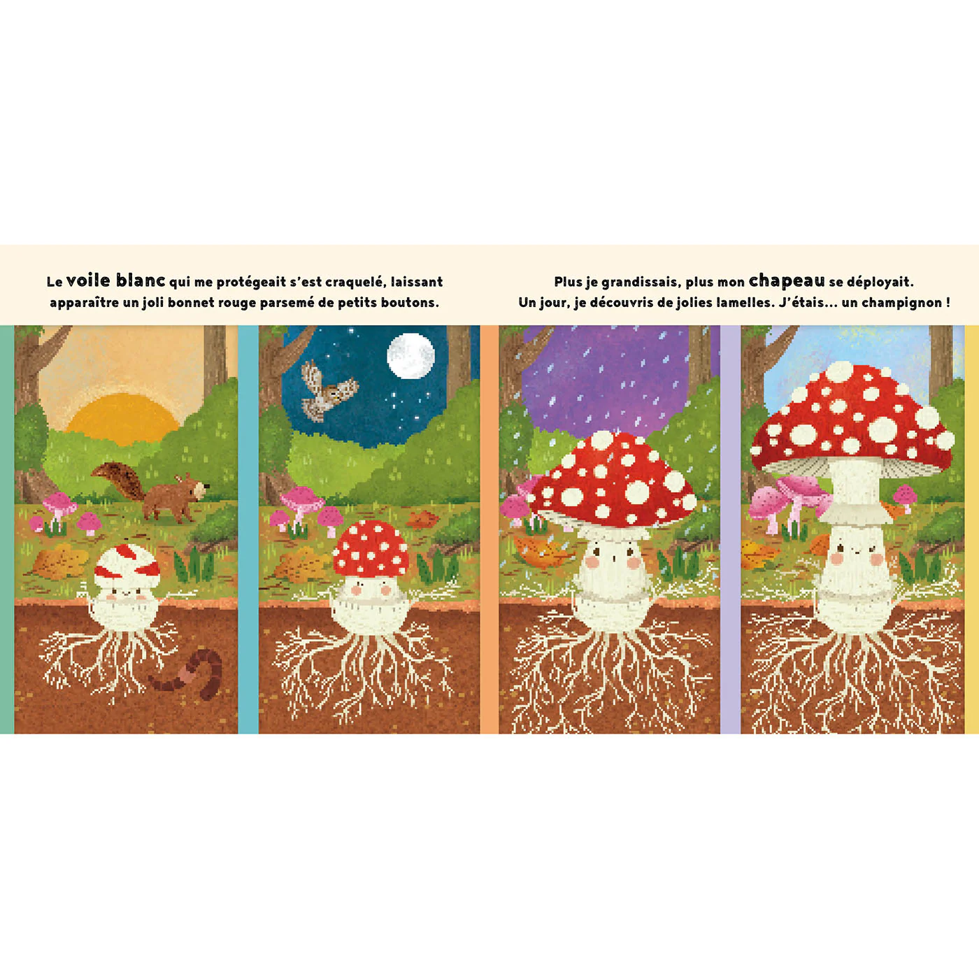 Image du produit 4