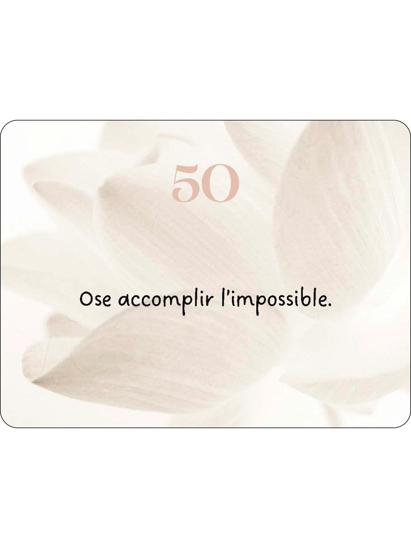 Image du produit 20