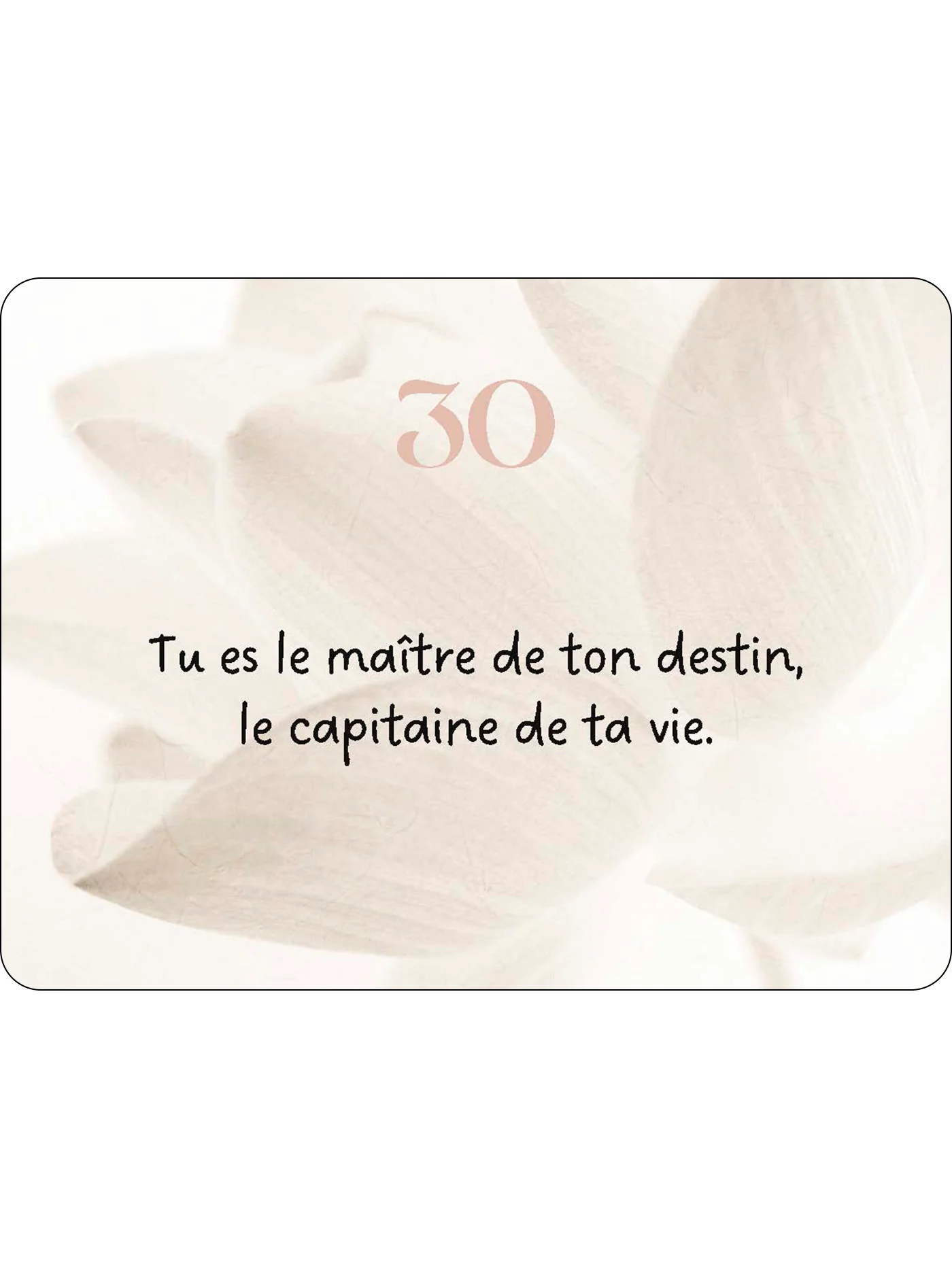 Image du produit 39