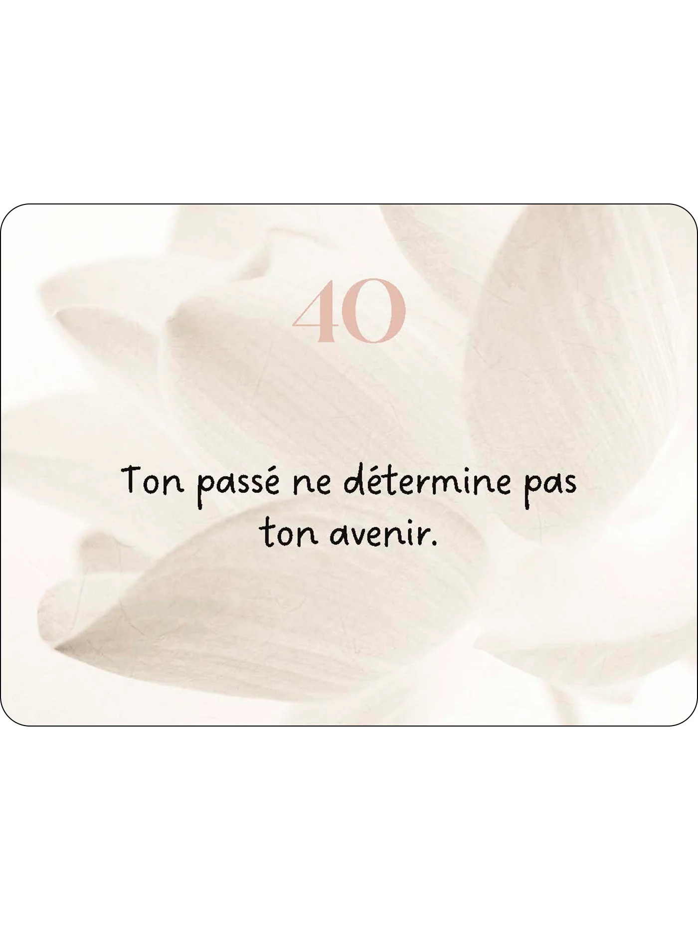 Image du produit 40