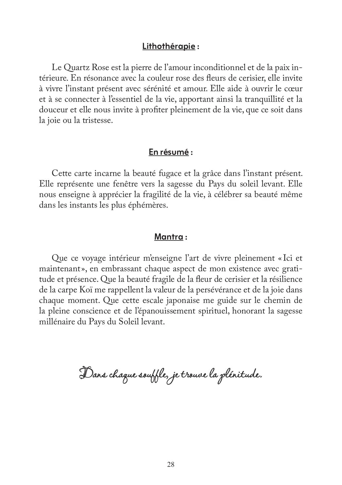 Image du produit 51