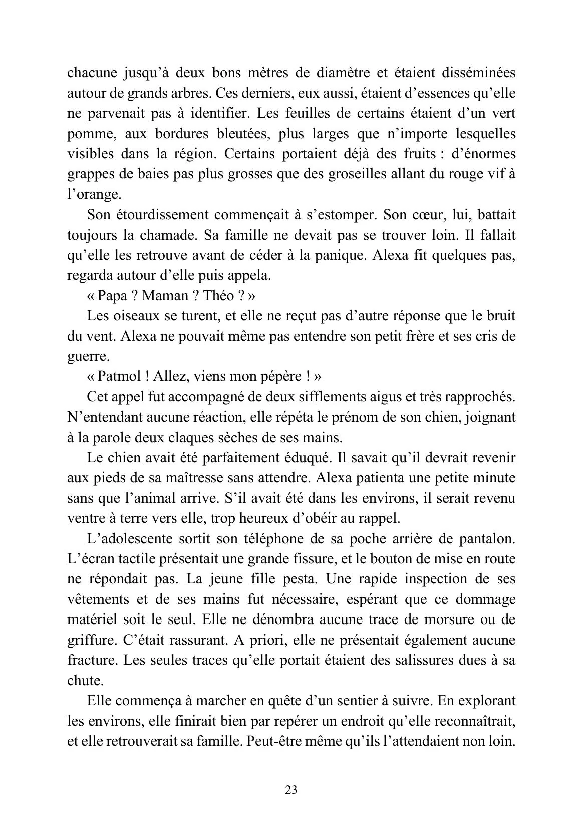 Image du produit 36