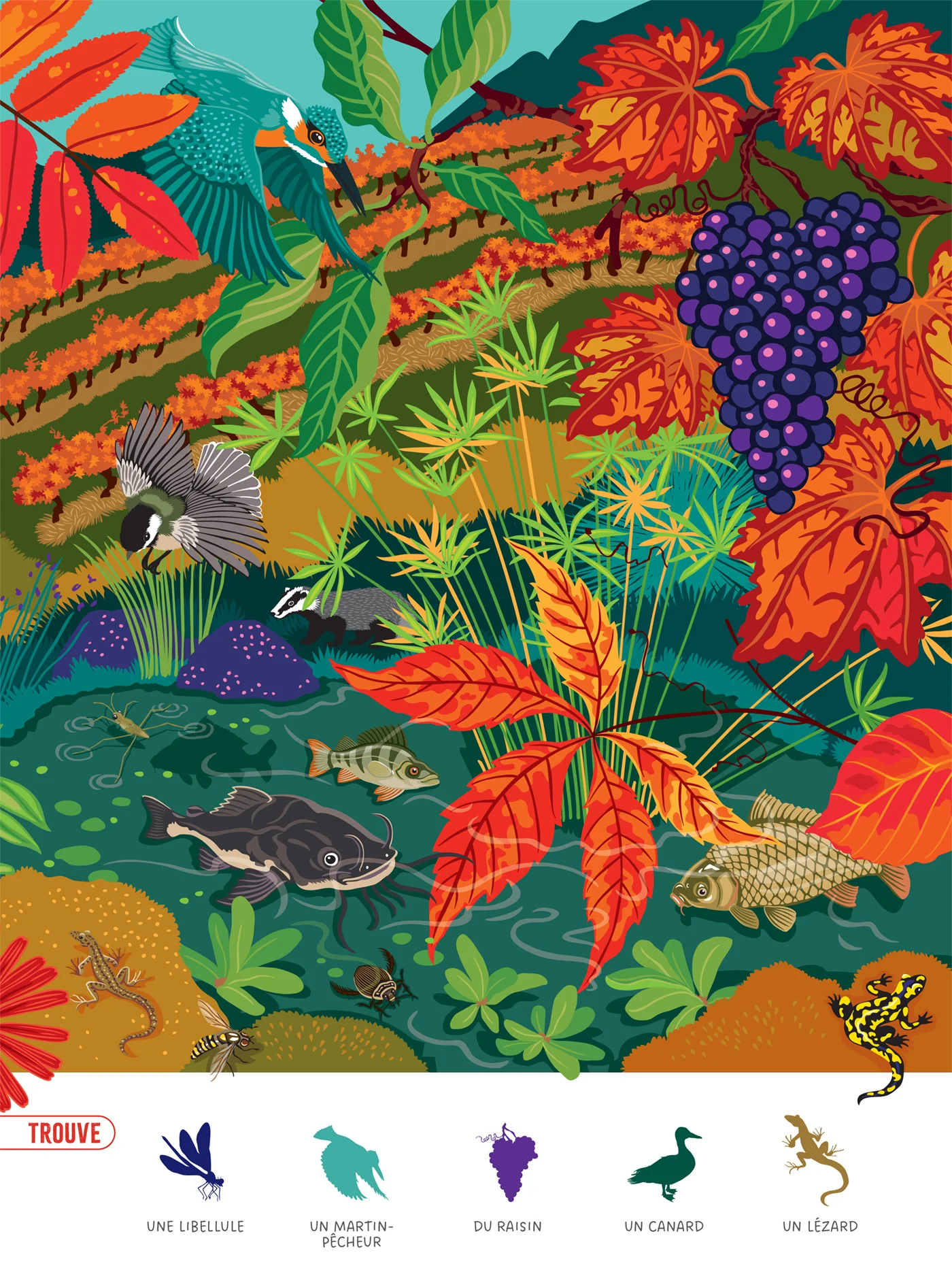 Image du produit 8