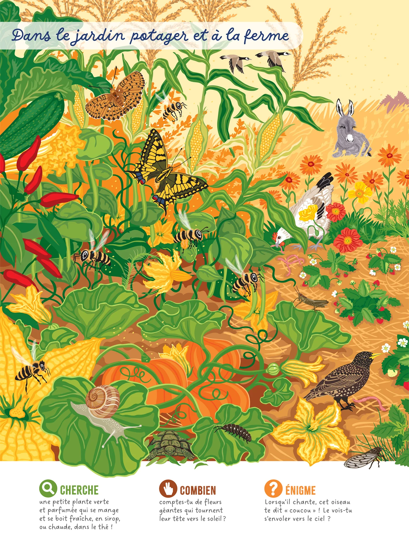 Image du produit 9