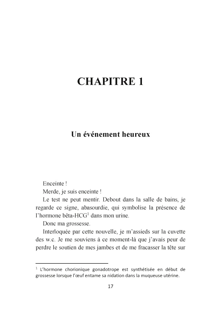 Image du produit 43
