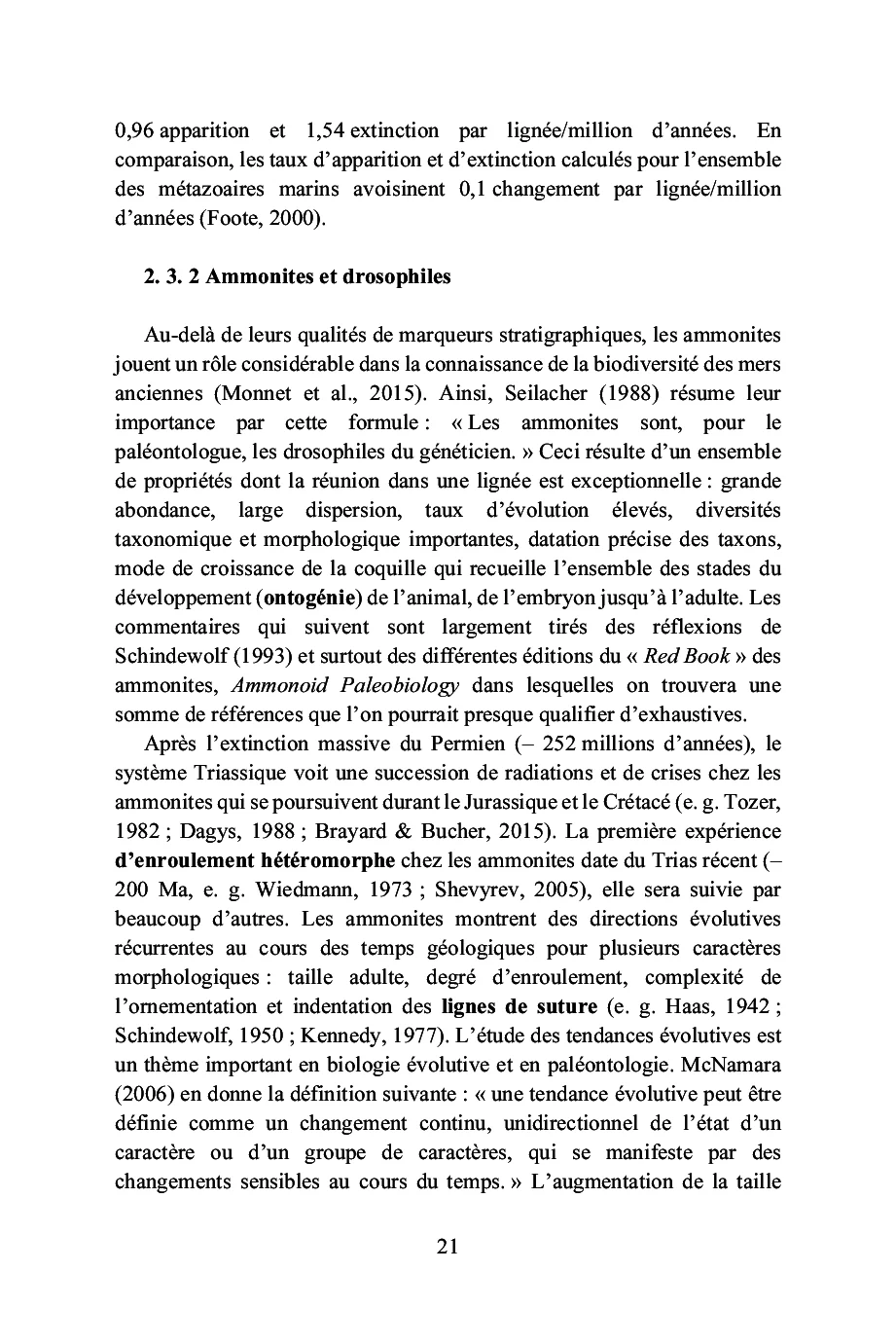 Image du produit 16