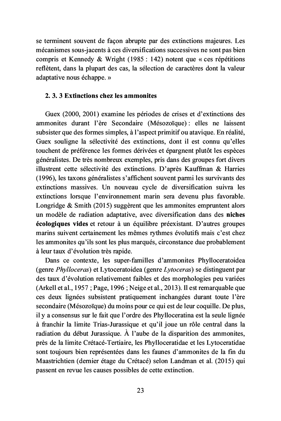 Image du produit 18
