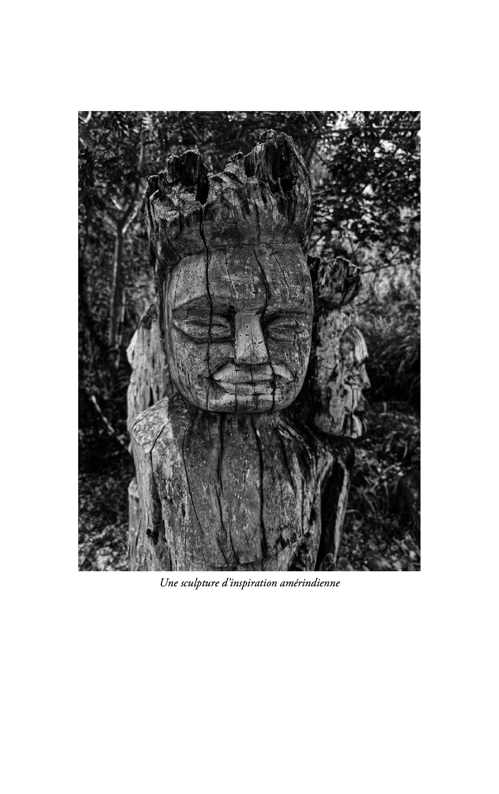 Image du produit 41