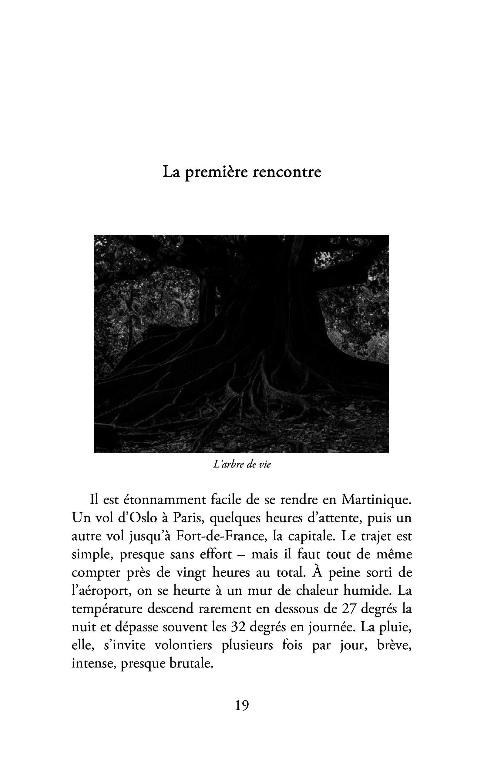 Image du produit 42