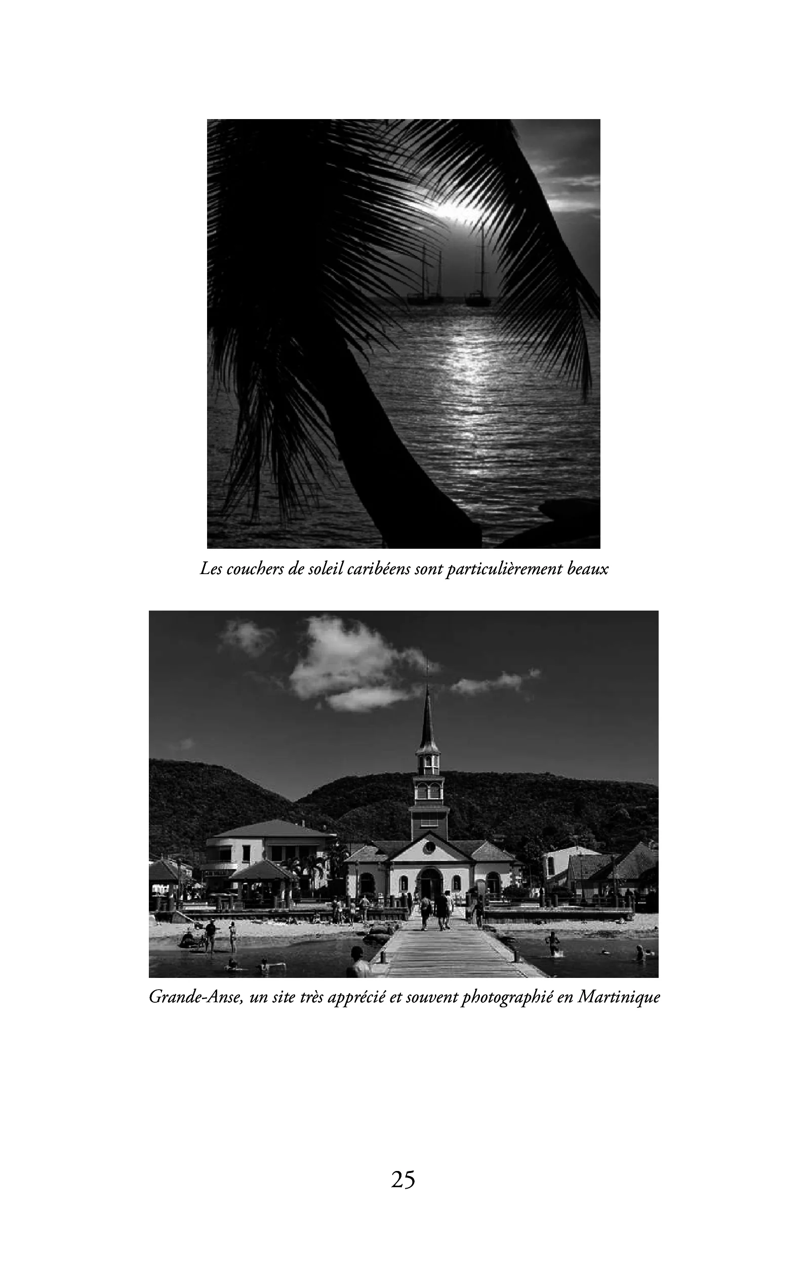 Image du produit 48