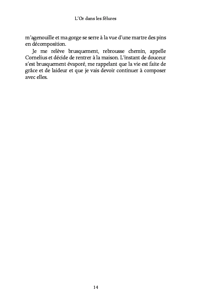 Image du produit 11