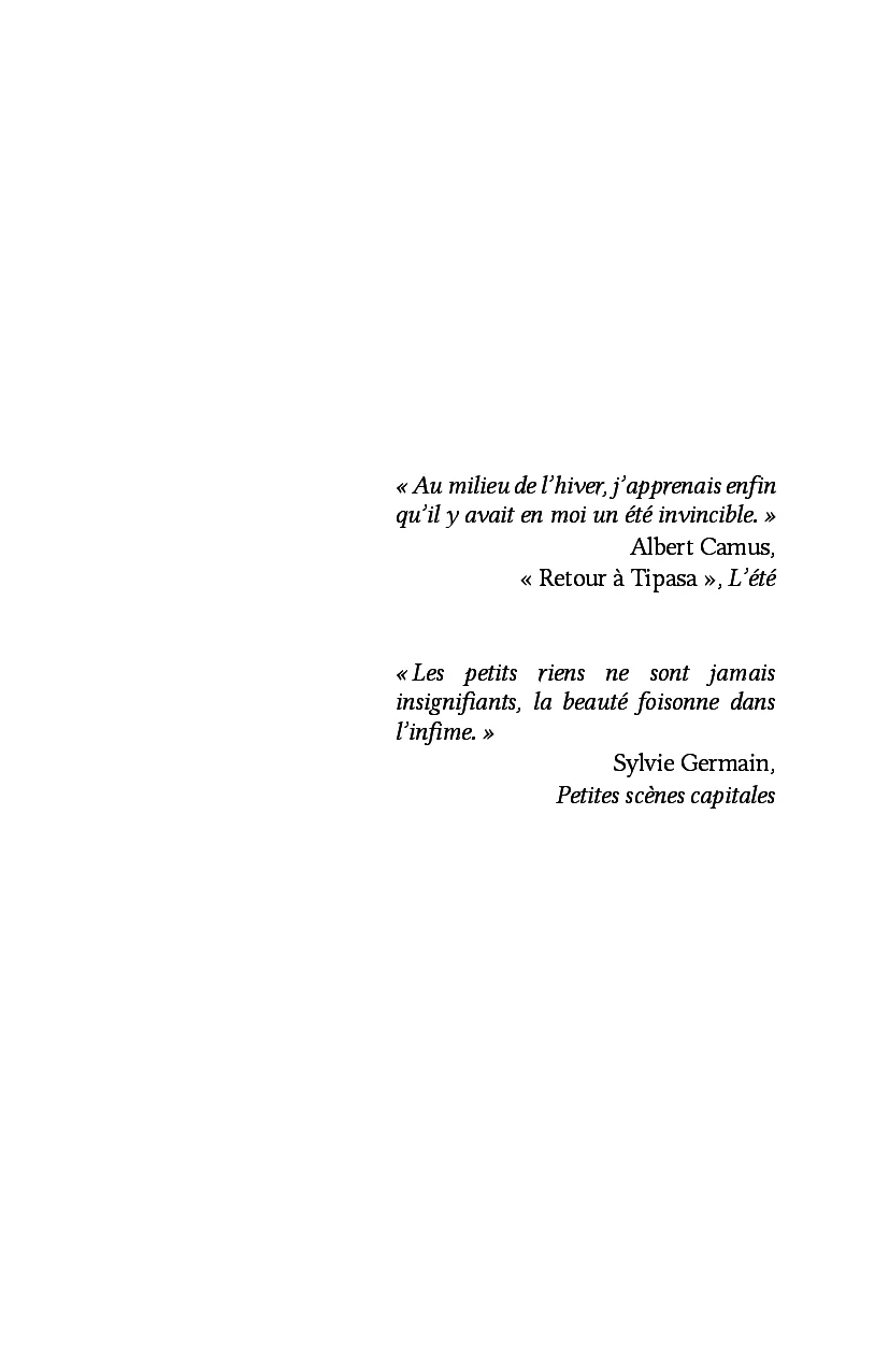 Image du produit 15