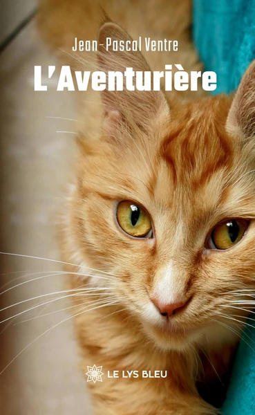 Image du produit 13