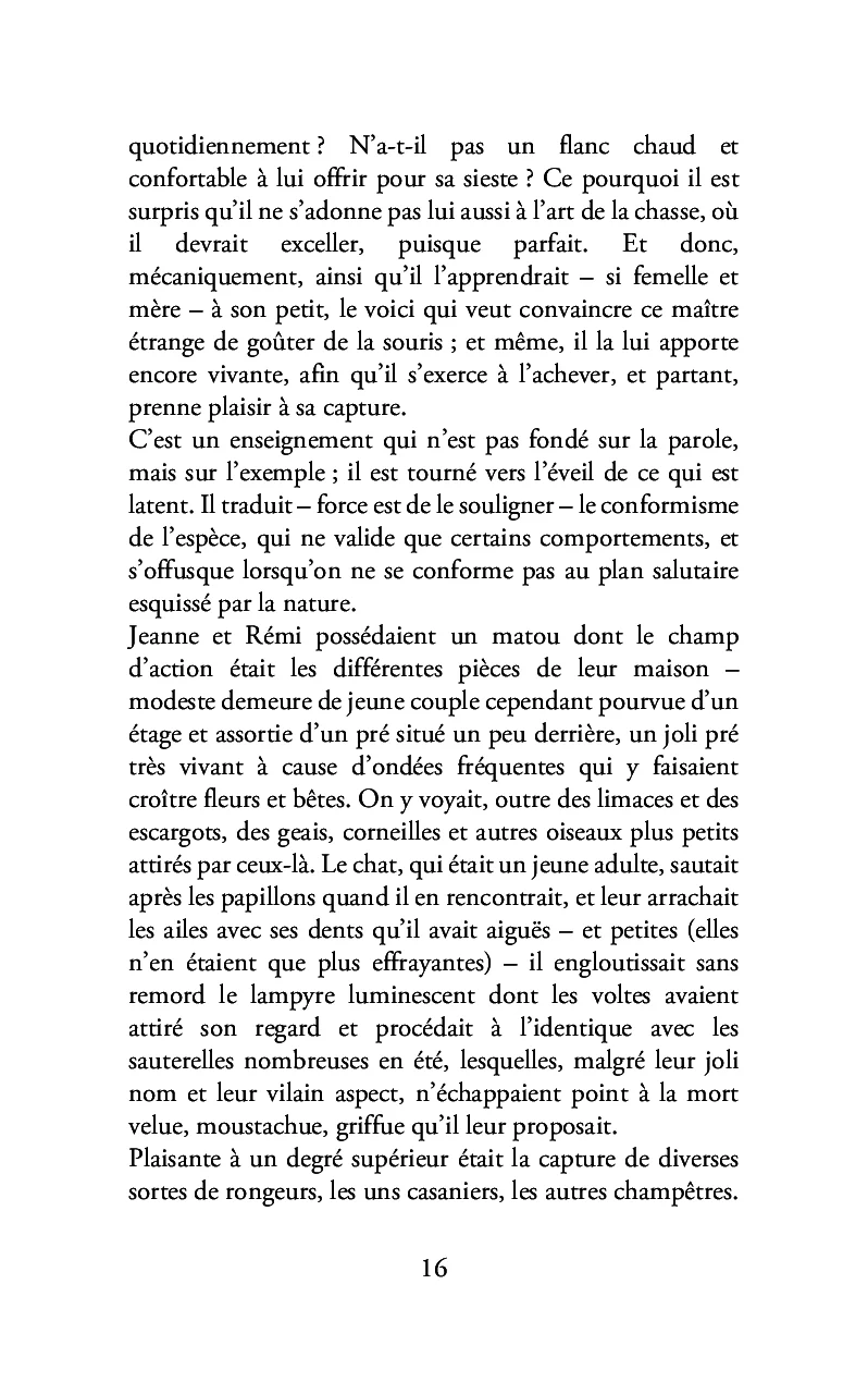 Image du produit 24